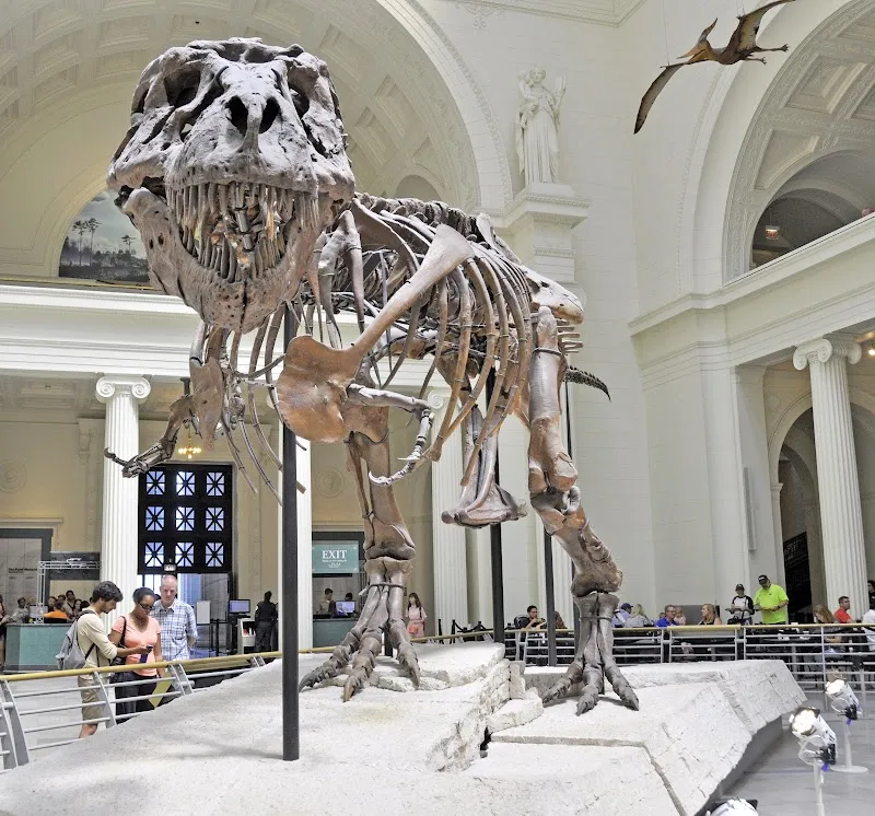 Field Museum tourist attraction in Chicago, IL