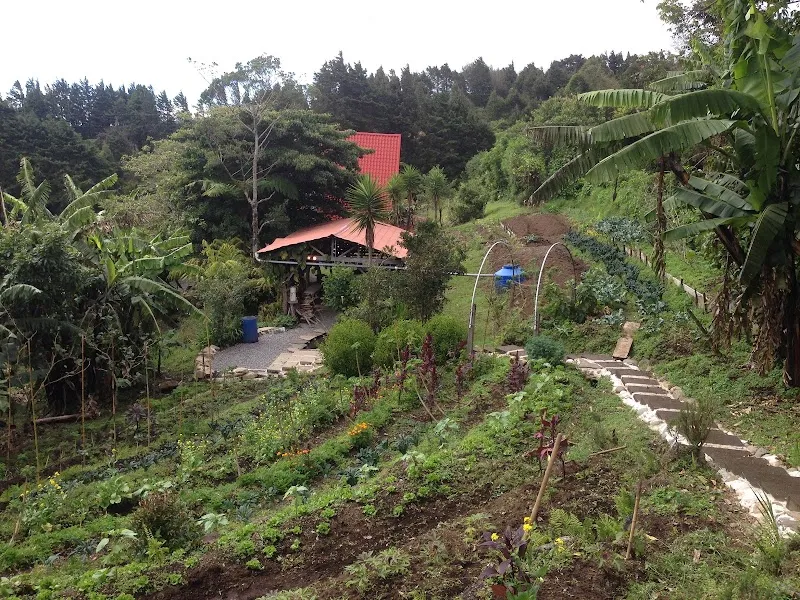 Finca Orgánica Local farm in San Isidro de Heredia, HD