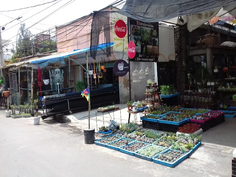 Flower Market Madre Selva market in Xochimilco, CDMX