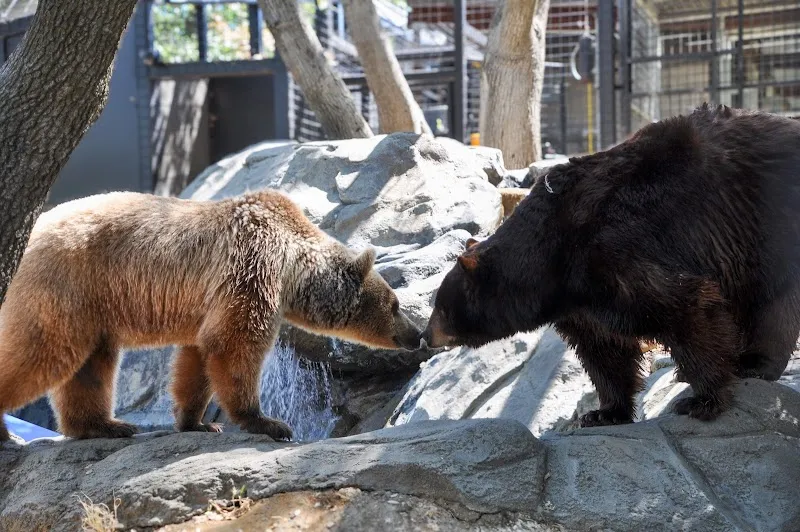 Folsom City Zoo Sanctuary zoo in Folsom, CA