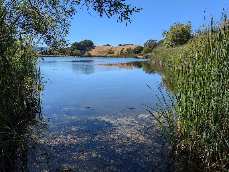 Foothills Nature Preserve nature preserve in Los Altos Hills, CA