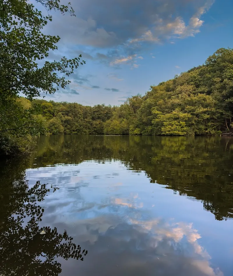 Forêt domaniale de Meudon national park in Sèvres, IDF