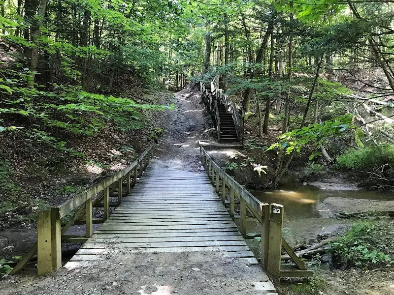 Forêt du Grand Coteau park in Rosemère, QC