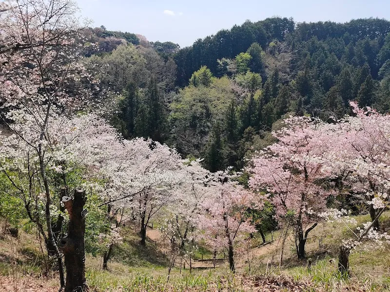 Forestry Research Institute Tama Forest Science Park botanical garden in Hachioji, Tokyo
