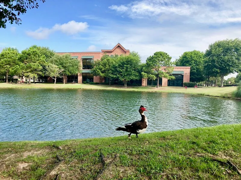 Fort Bend County Libraries - Cinco Ranch Branch library in Cinco Ranch, TX