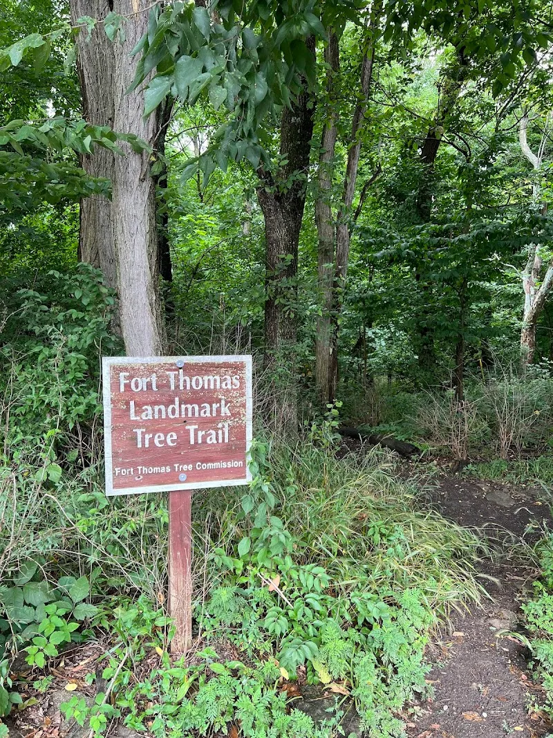 Fort Thomas Landmark Tree Trail hiking area in Fort Thomas, KY