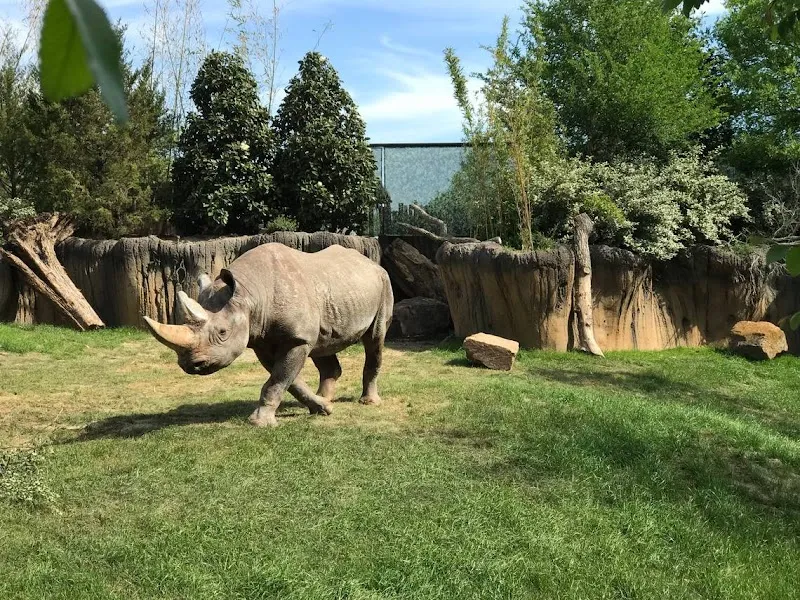 Fort Worth Zoo zoo in Fort Worth, TX