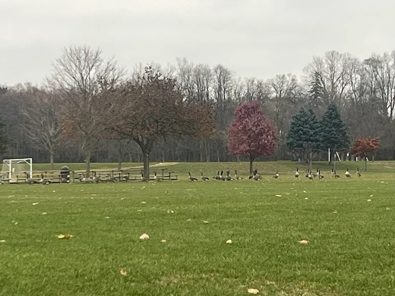 Founders Sports Park park in Farmington Hills, MI