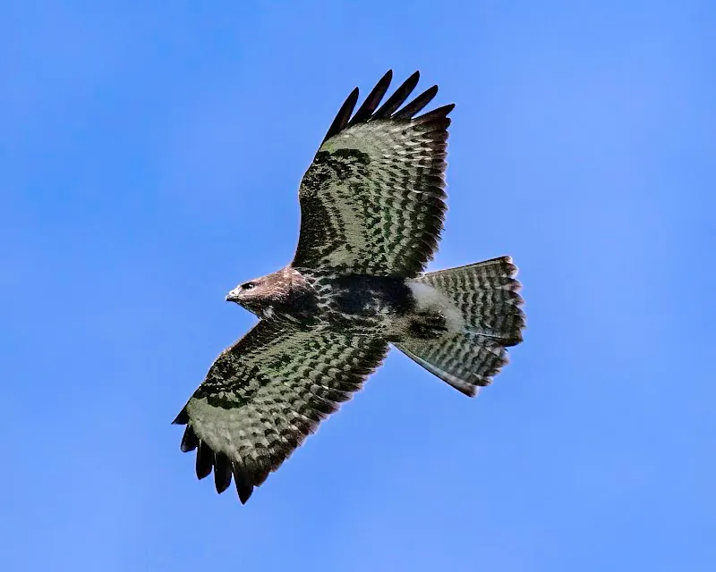 Fredriksvärn Nature Reserve nature in Vaxholm, Stockholm