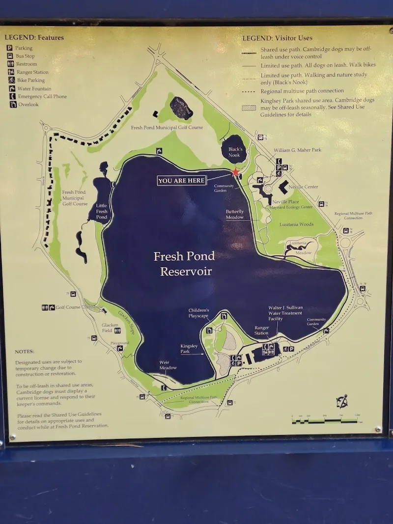 Fresh Pond Reservation park in Belmont, MA