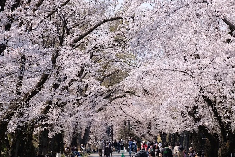 Fujimori Park park in Hachioji, Tokyo