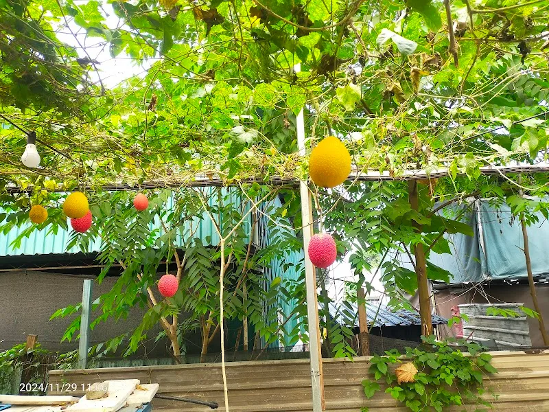 Gac Farm tourist attraction in Bukit Mertajam, Penang