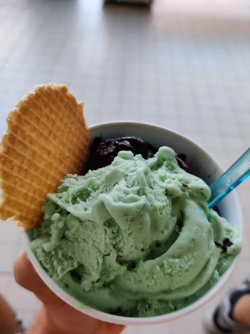 Gelateria Artigianale Mirano ice cream in Mirano, VE