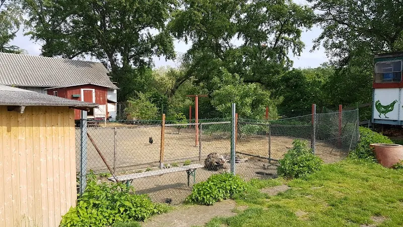 Gemeinschaftshof der KLEINEN STADTFARM farm in Aspern, VIE
