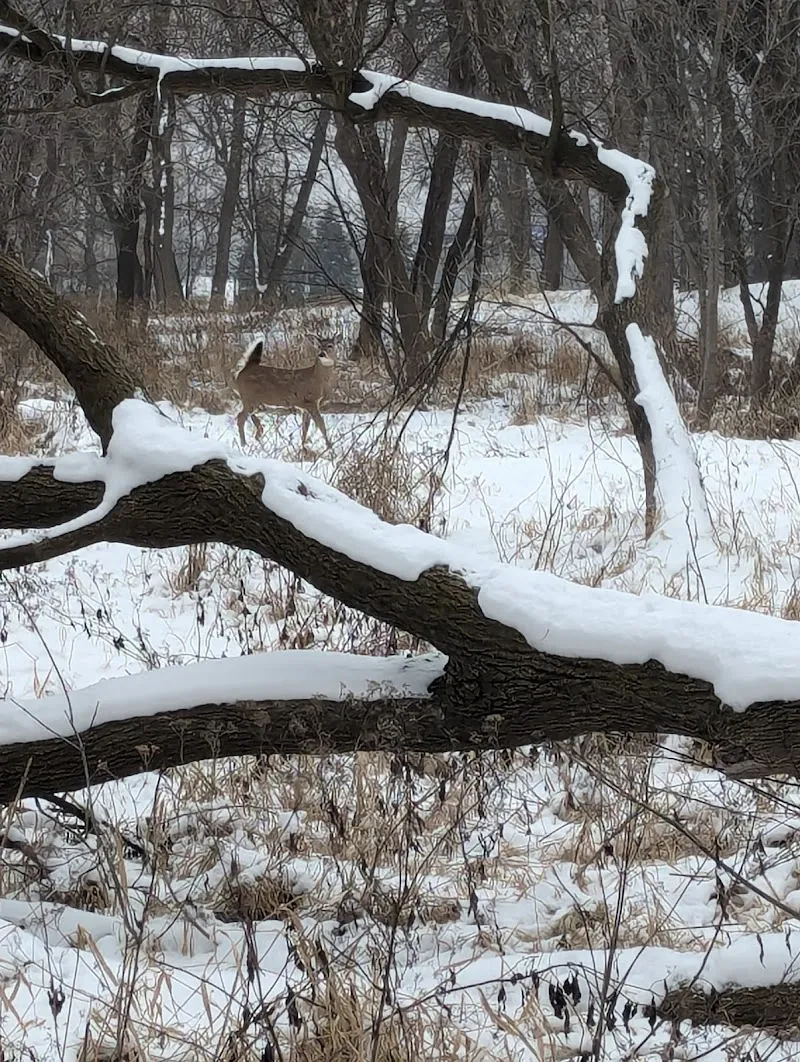General Mills Nature Preserve nature preserve in Golden Valley, MN