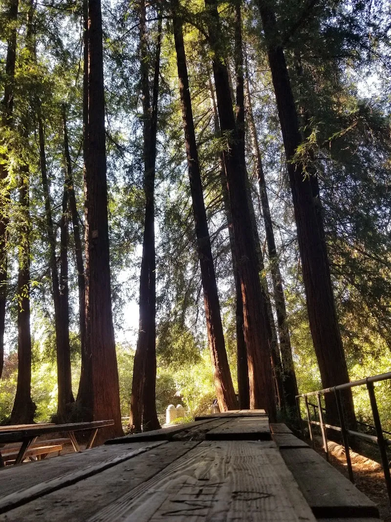 Gerstle Park park in San Rafael, CA