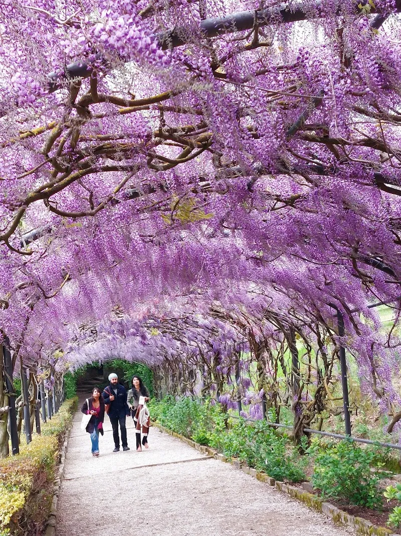 Giardino Bardini garden in Florence, TC