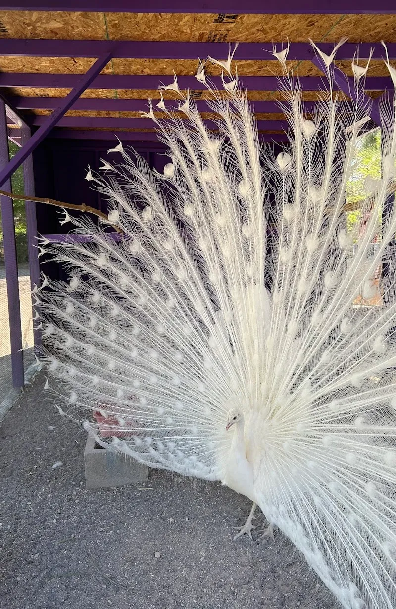 Gilcrease Nature Sanctuary nature preserve in Henderson, NV