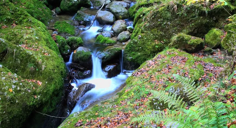 Glasenbachklamm wildlife refuge in Elsbethen, Salzburg