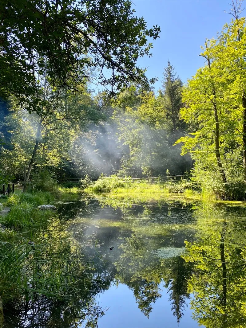 Glattwiesen Nature Reserve nature in Seebach, ZH