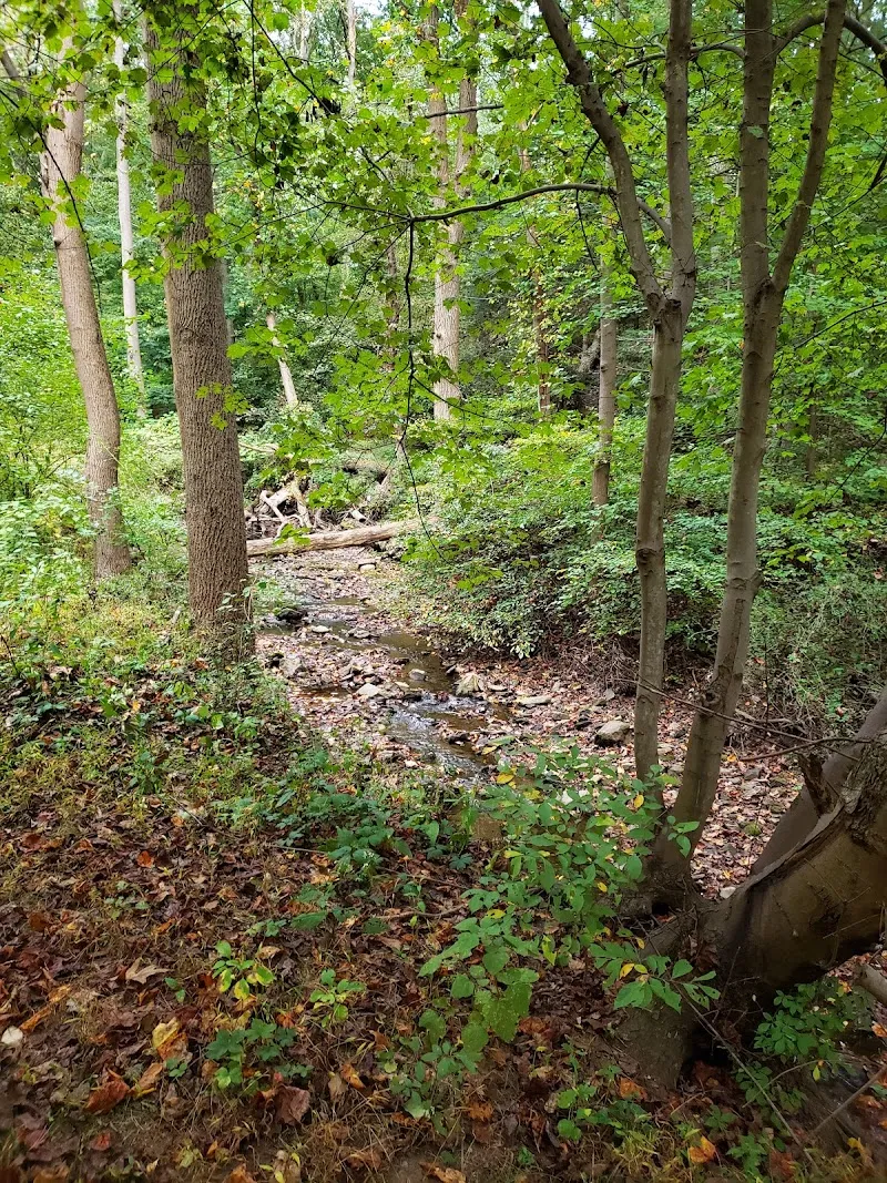 Glen Providence Park park in Media, PA