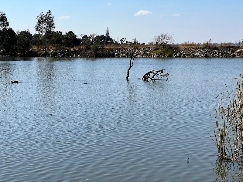 Golden Harvest Park park in Randburg, GP