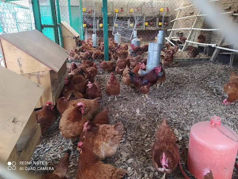 Granja del Tío Pepe farm in Huixquilucan, Edomex