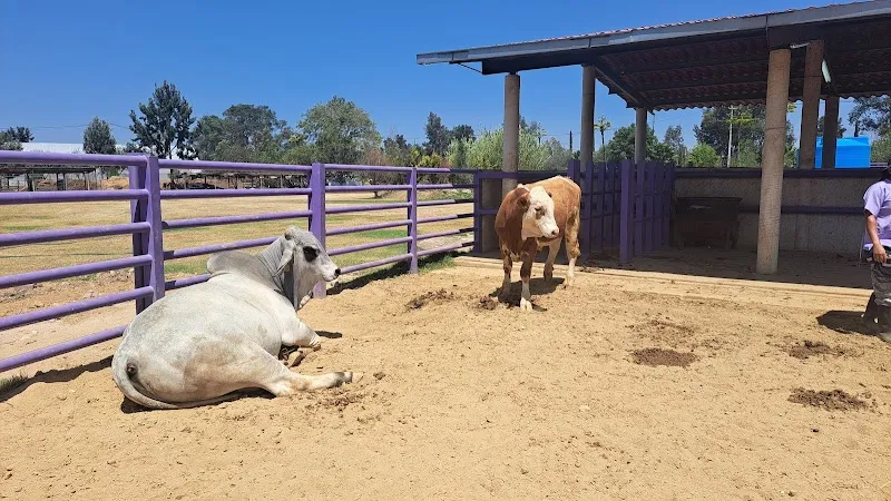 Granja Educativa farm in Atizapán de Zaragoza, Edomex