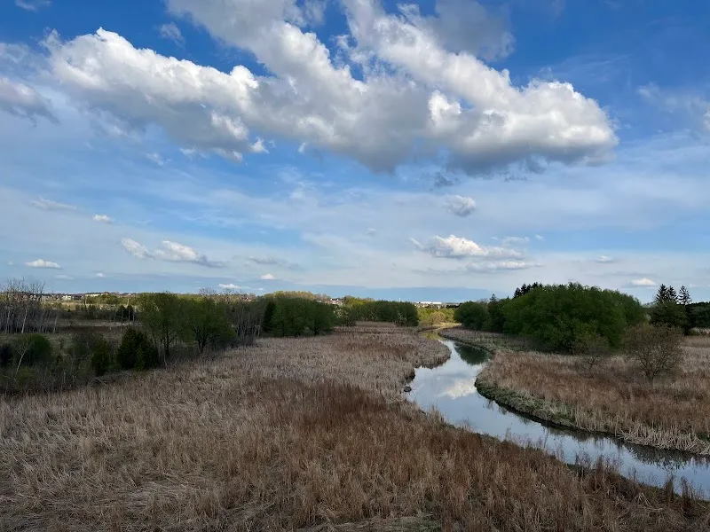 Greenlane Regional Park Walking Trails nature in Newmarket, AKL