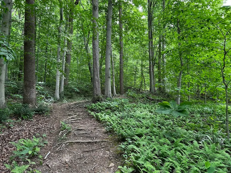 Gunpowder Falls State Park hiking area in Baltimore, MD