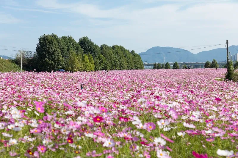 Guri Hangang Park park in Guri, GG