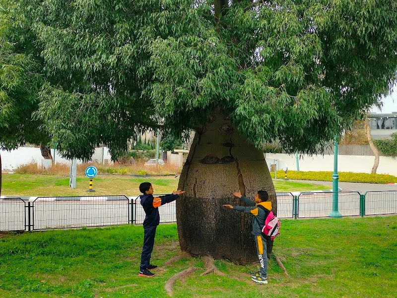 HaGina Park Playground playground in Ramat Hasharon, TA