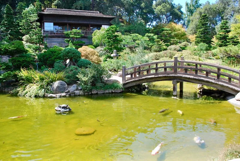 Hakone Estate and Gardens park in San Jose, CA