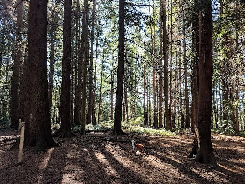 Hamlin Park park in Shoreline, WA