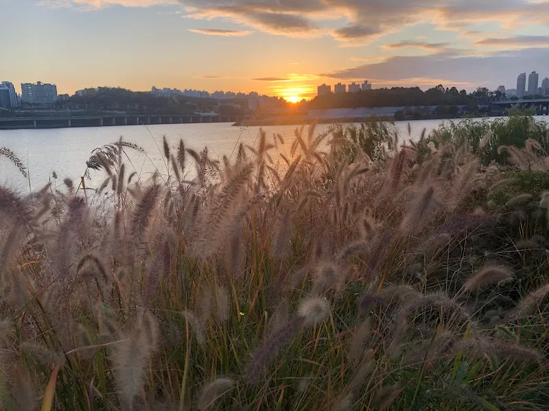 Hangang Park park in Hanam, GG