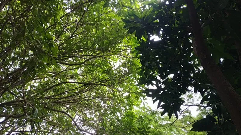 View of Hanoi Library in Hà Đông, HN