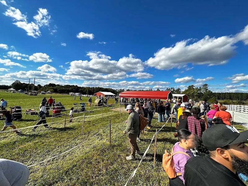 Hanover Vegetable Farm farm in Hanover, VA