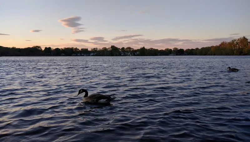 Hardy Pond lake in Waltham, MA
