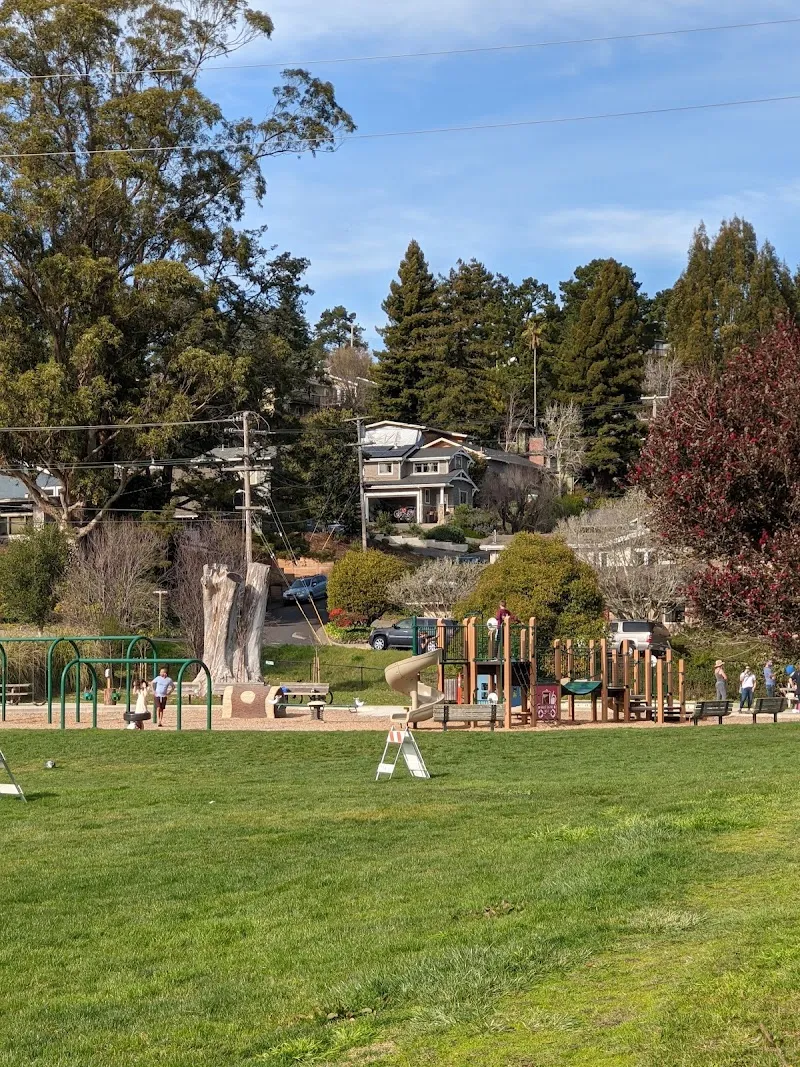 Hauke Park park in Mill Valley, CA
