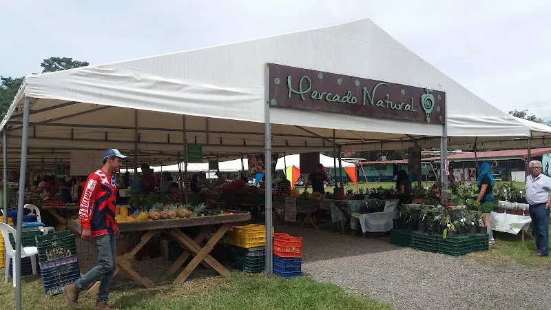 Heladería Natural de Curridabat ice cream in Curridabat, SJ