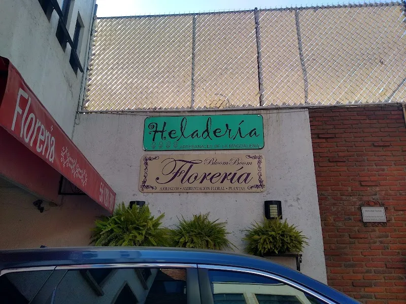 Helados Artesanales La Magdalena ice cream in La Magdalena Contreras, CDMX