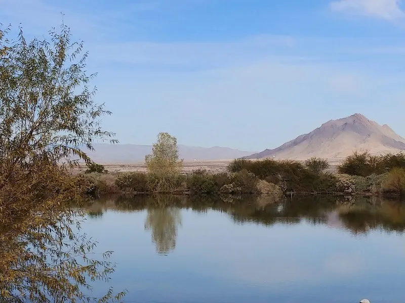Henderson Bird Viewing Preserve tourist attraction in Henderson, NV