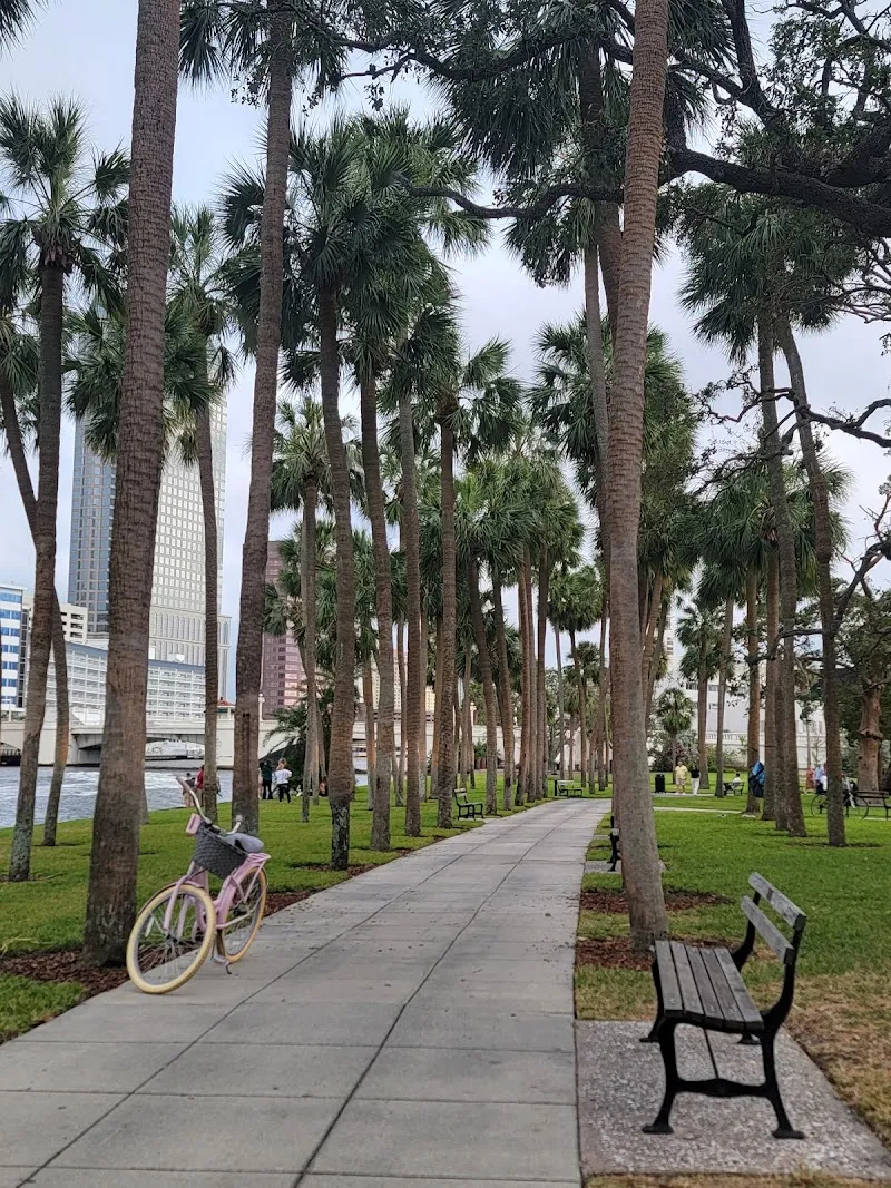 Henry B. Plant Park park in South Tampa, FL