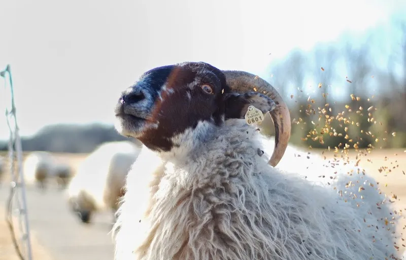 Hermitage Golf Course golf course in Hermitage, TN