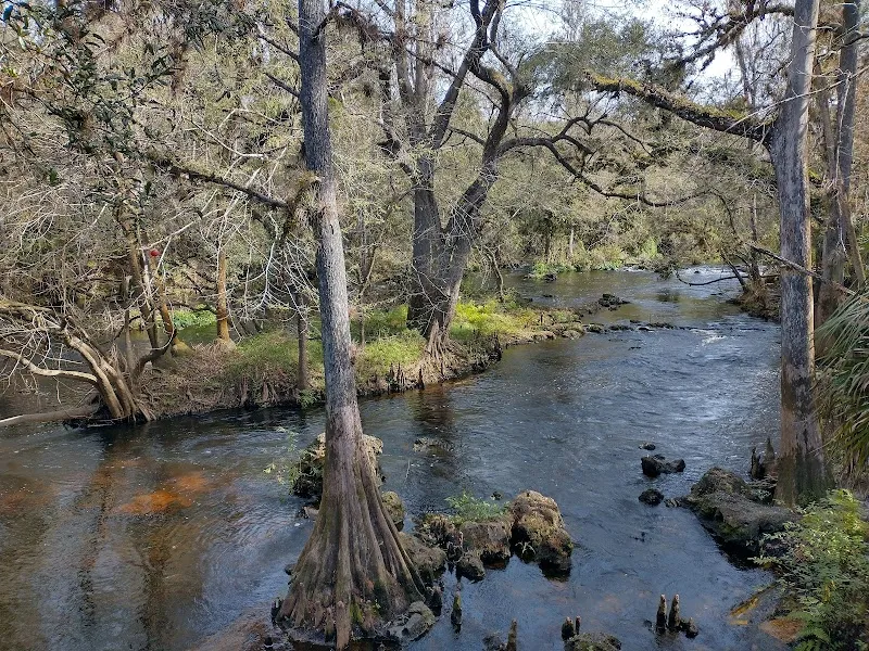 Hillsborough River State Park state park in Temple Terrace, FL