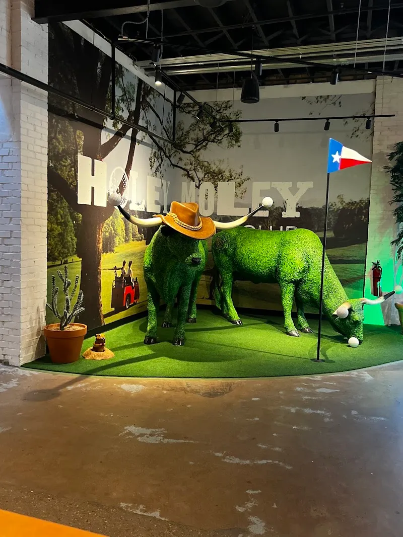 Holey Moley Golf Club Austin miniature golf course in Austin, TX