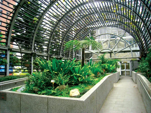 Hong Kong Zoological and Botanical Gardens Green House park in Hong Kong, HK