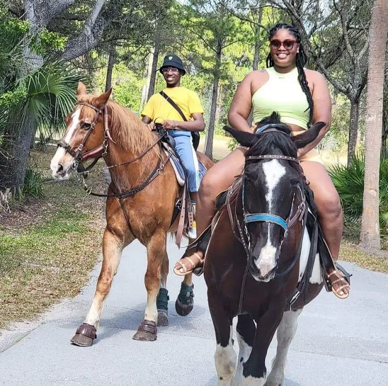 Horseback Riding Tours and Adventures Cypress Breeze Farm tourist attraction in Palm Harbor, FL