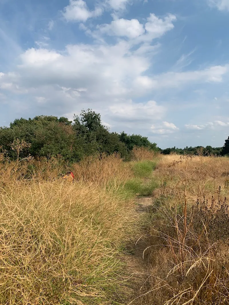 Hounslow Heath (Hounslow) park in Hounslow, London