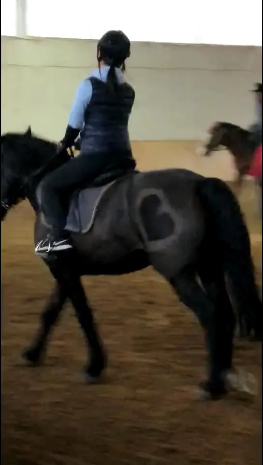 Houseman Kids Club indoor play in Shunyi District, Beijing